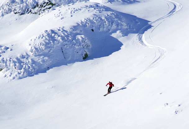 Ski touring in harsh winter conditions - Φωτογραφία, εικόνα