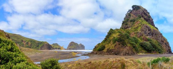 Piha Beach y Lion Rock, Región de Auckland, Nueva Zelanda
 - Foto, imagen