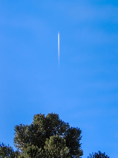 Le couvert vert d'un arbre au premier plan avec un ciel bleu et clair coupé par un avion sur une ascension rapide en arrière-plan
 - Photo, image