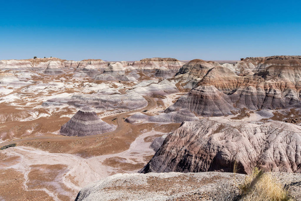 Sentier Blue Mesa dans le parc national de la forêt pétrifiée de l'Arizona / désert peint par une journée d'été ensoleillée, montrant les belles couleurs du rocher
 - Photo, image