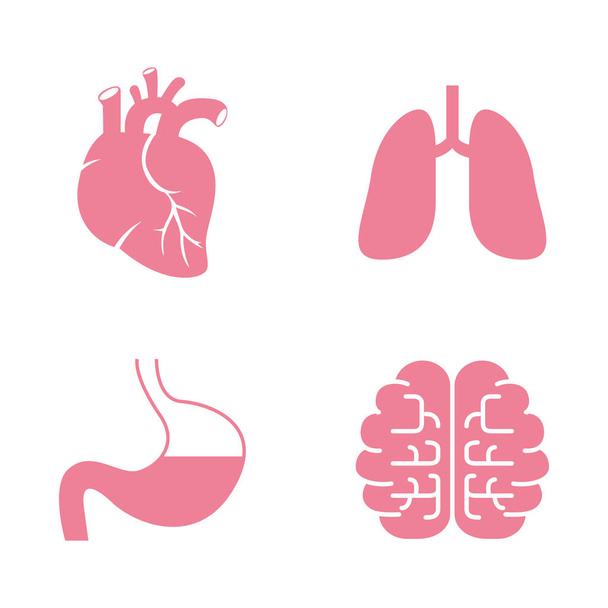 Ikony lidských orgánů. Srdce, plíce, žaludek mozky Eps10 - Vektor, obrázek