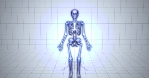 3D insan anatomisi iskelet görselleştirme - orta parmak kemikleri - Video, Çekim