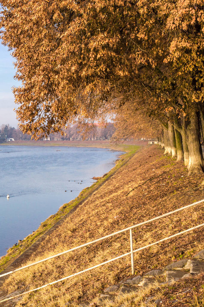 River landscape in spring or autumn. The bend of a shallow river. Trees on the bank along the river. Picturesque autumn landscape. Stream of the river in the city. Beautiful nature. - Foto, imagen