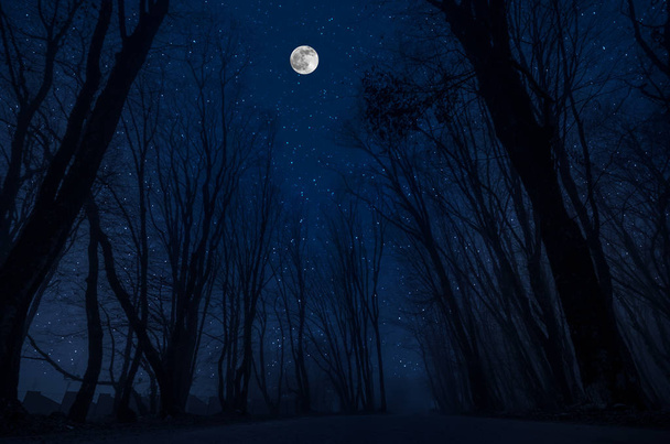 Górskie drogi przez las w noc pełni księżyca. Malownicze nocny krajobraz kraju drogi w nocy z dużego księżyca - Zdjęcie, obraz