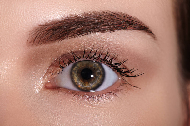 Close-up Macro of Beautiful Female Eye with Perfect Shape Eyebrows. Clean skin, Fashion Naturel Make-Up. Good Vision. - Valokuva, kuva
