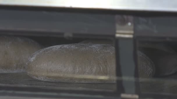 Ψωμί είναι ψημένο στο φούρνο - Πλάνα, βίντεο