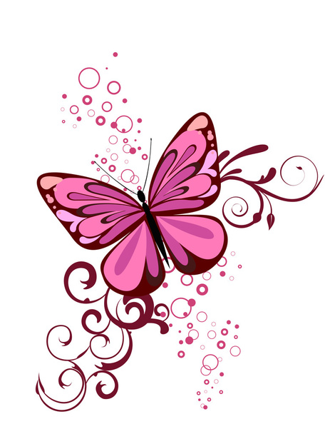 Colorful butterfly - Vector, afbeelding