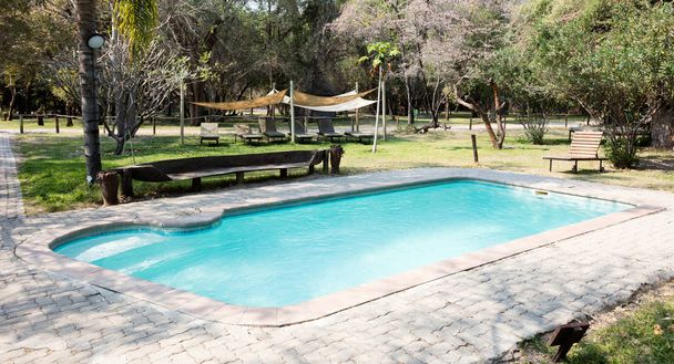 Private swimming pool on a campsite in Namibia - 写真・画像