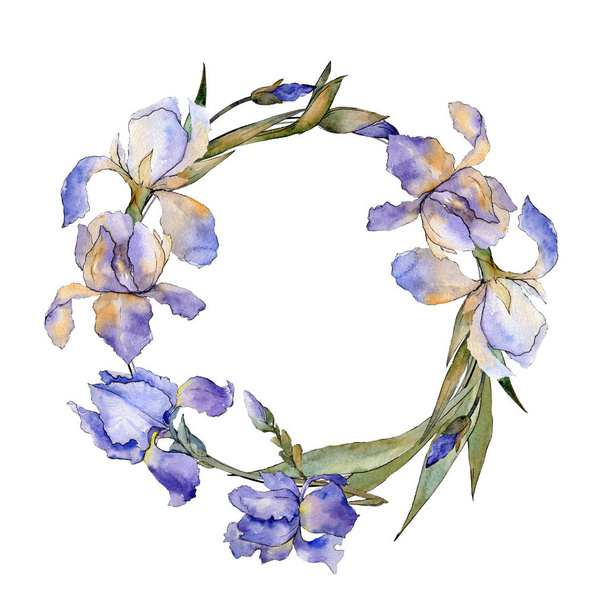 Purple iris floral botanical flower. Wild spring leaf wildflower isolated. Watercolor background illustration set. Watercolour drawing fashion aquarelle isolated. Frame border ornament square. - 写真・画像