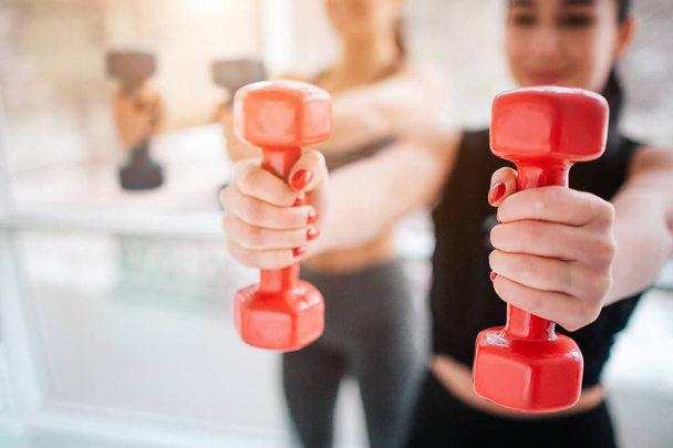 Cut view of two young women stand and exercise. They hold red dumbbells and keep them straight. Models look confident. - Φωτογραφία, εικόνα