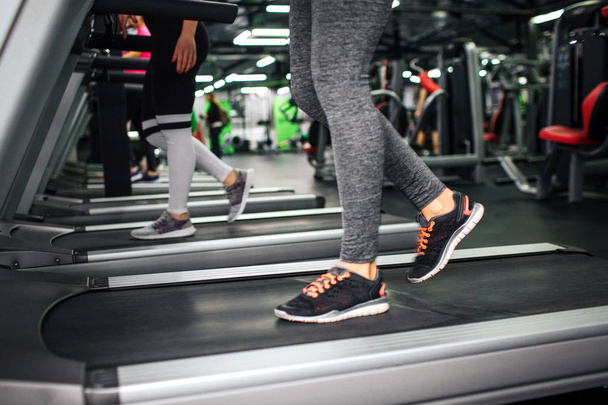 Cut view of yougn womens legs walking on running track in gym. - Foto, Imagem