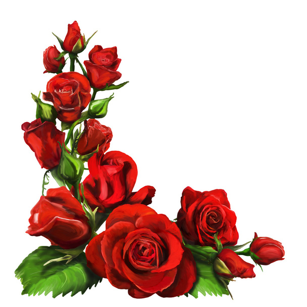Roses rouges - Photo, image