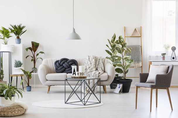 Industrial coffee table in the middle of scandinavian living room interior with white sofa, urban jungle and grey chair - Fotografie, Obrázek