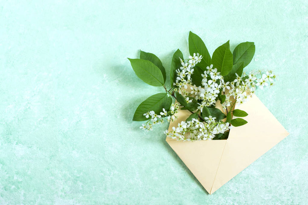 Envelope with blossoming branch of bird cherry. Concept of spring holidays. Congratulations on Women's Day, Mother's Day. Minimal style - Foto, Bild