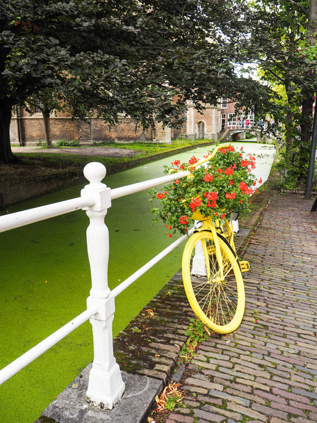 Stary żółty rower z kwiatami i używane dla miejskich ogrodnictwo, Delft, Holandia - Zdjęcie, obraz