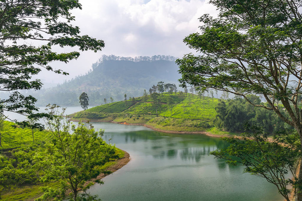 Çay plantasyon ve göl, Sri Lanka, Nuwara Eliya, seyahat hedef Panoraması - Fotoğraf, Görsel
