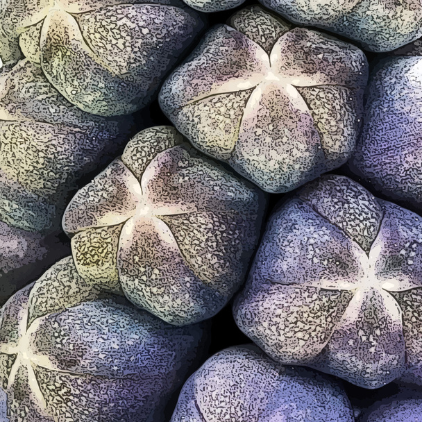 druivenmost hyacint detail - Vector, afbeelding