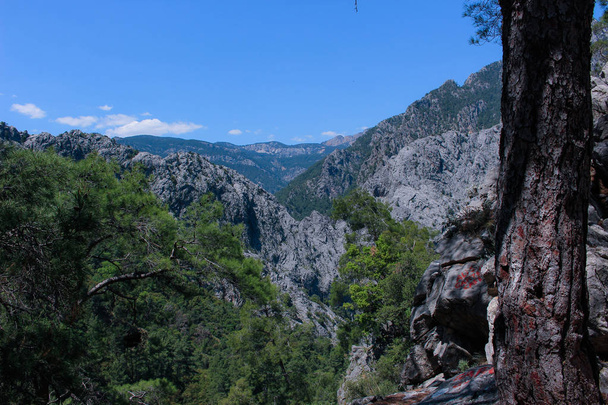 mountain rocky landscape, pine forest and green meadow. n. Lycian way. Turkeyatural background - Foto, Imagem