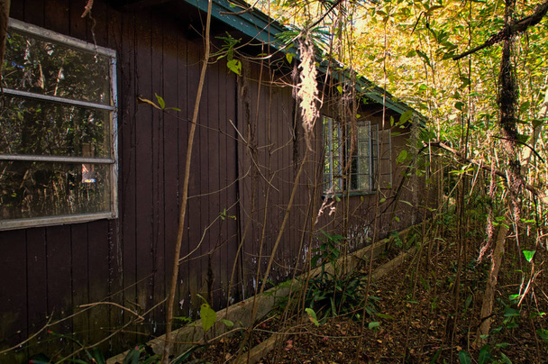 Εξωτερικό του ένα εγκαταλελειμμένο αποκλειστούν σπίτι σε αγροτική Φλόριντα με κατάφυτη βλάστηση - Φωτογραφία, εικόνα