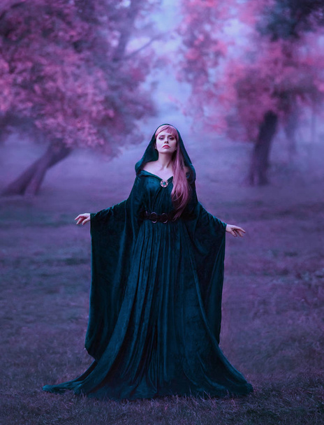 charming maiden in a blue brakhatny cloak in a wide belt, with pink hair in the forest as a sacrifice for the devil. the bloodthirsty dark druid conducts the rite of sacrifice, cold violet colors - Fotografie, Obrázek