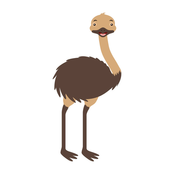 Emu Free Stock Vectors