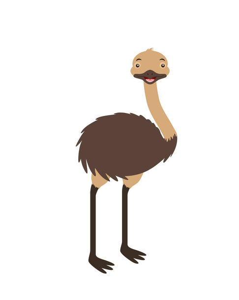 EMU fauny na bílém pozadí - Vektor, obrázek