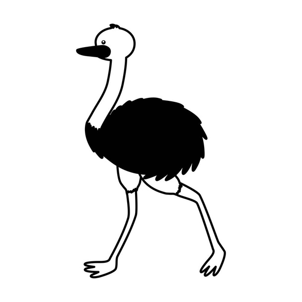 EMU fauna op witte achtergrond - Vector, afbeelding