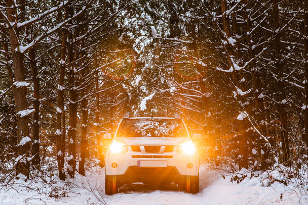 λευκό SUV αυτοκίνητο στο δάσος χειμώνα με αναμμένα φώτα. οδικό ταξίδι - Φωτογραφία, εικόνα
