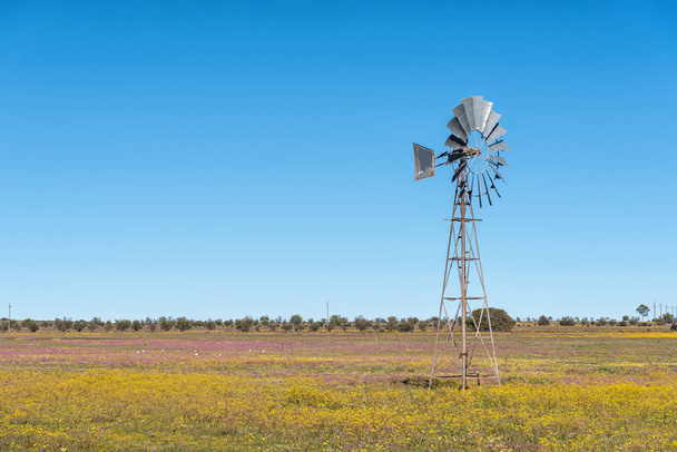 A windmill in a field of yellow and purple wildflowers near Nieuwoudtville in the Northern Cape Province. Sacred ibis birds are visible - Photo, Image