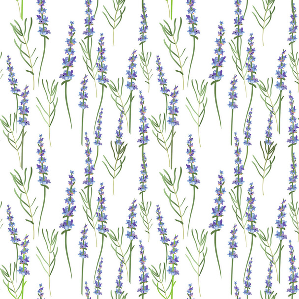 naadloze lichte lavendel achtergrond - vectorillustratie vector - Vector, afbeelding