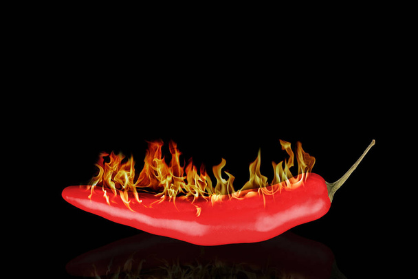 Red hot chili peper in brand geïsoleerd op een zwarte achtergrond. Ruimte voor uw tekst kopiëren. - Foto, afbeelding
