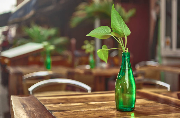 Green glass bottle resting on a table containing a leaf. Decorative element. - Fotografie, Obrázek