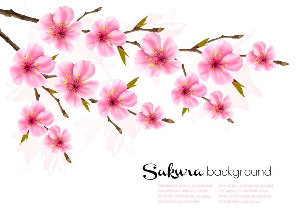 Fond printanier avec Sakura branche de cerisier du Japon. Vecteur
 - Vecteur, image