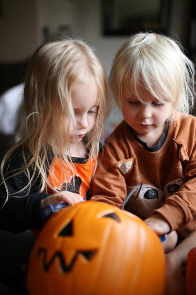 Two little girl children are digging through a pumpkin bucket of Halloween candy after Trick or Treating. - Photo, Image