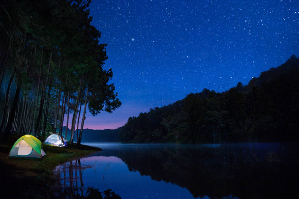 Yön maisema telttailu tähtien kanssa Pang ung mäntymetsässä metsä ja luonto, mae hong poika, Thaimaa, Aasia
 - Valokuva, kuva