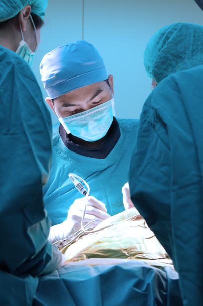 cirugía veterinaria en la sala de operaciones con iluminación de arte y filtro azul
 - Foto, imagen