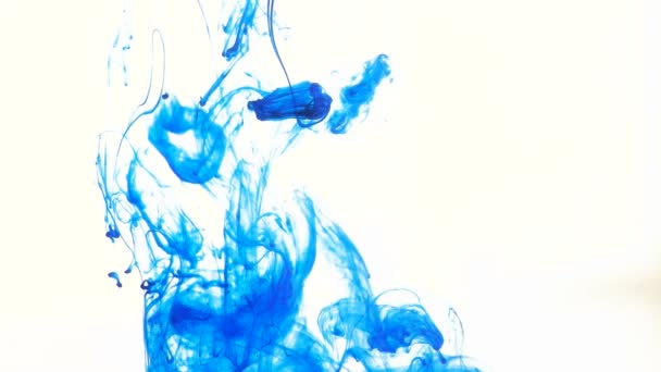 tinta azul en el agua derecha sobre blanco
 - Metraje, vídeo