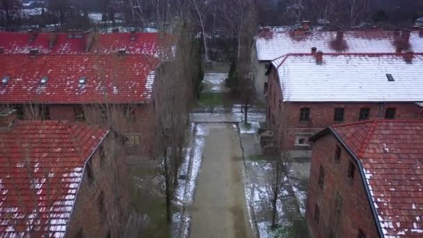 Aerial view of Auschwitz Birkenau, a concentration camp in Poland - Filmati, video