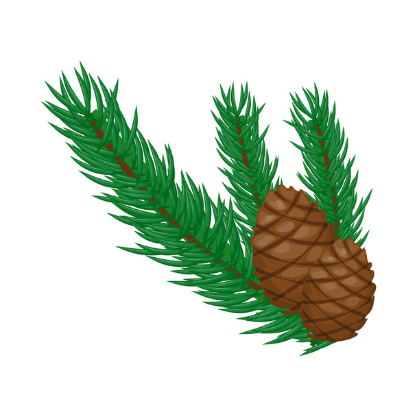 Pine branch with cones on a white background vector illustration. - Vector, Image