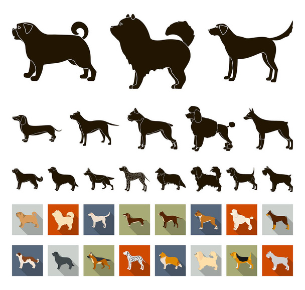 Dog φυλών μαύρο, επίπεδη εικονίδια στη συλλογή σετ για σχεδιασμό. Σκύλος συντροφιάς διάνυσμα σύμβολο μετοχών web εικονογράφηση. - Διάνυσμα, εικόνα