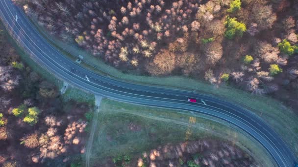 Θέα από το ύψος της κυκλοφορίας στο δρόμο που περιβάλλεται από φθινόπωρο δάσος - Πλάνα, βίντεο