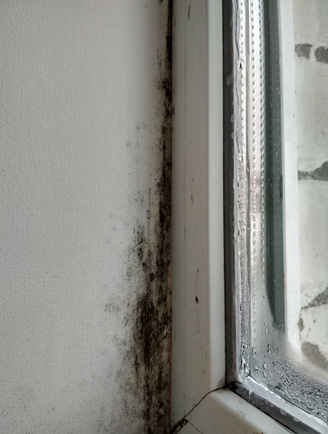 Foto van schimmel op de helling van het venster - Foto, afbeelding