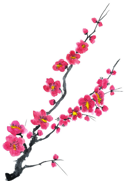A branch of a blossoming tree. Pink and red stylized flowers of plum mei, wild apricots and sakura . Watercolor and ink illustration in style sumi-e, u-sin. Oriental traditional painting.   - Φωτογραφία, εικόνα