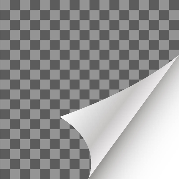 Curl de página de papel com sombra em fundo xadrez
 - Foto, Imagem