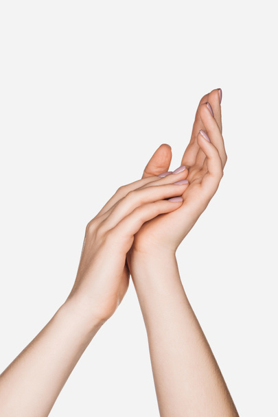 vue partielle des mains féminines isolées sur blanc
 - Photo, image