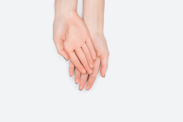 top view of female hands isolated on white - Valokuva, kuva
