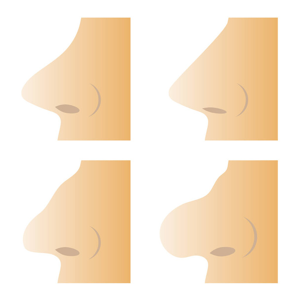 Conjunto de diferentes narices humanas aisladas sobre fondo blanco
 - Foto, Imagen