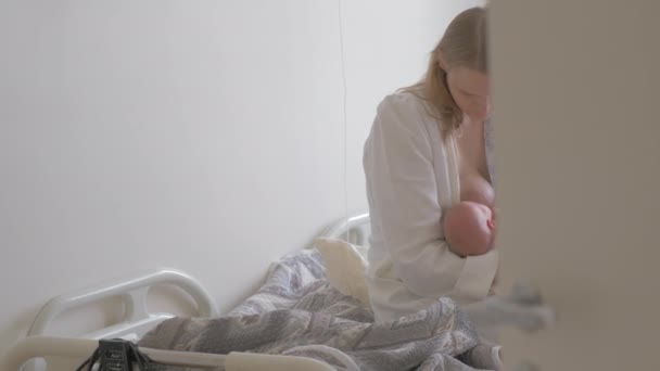 A woman breastfeeding her newborn baby in a maternity hospital room - Πλάνα, βίντεο