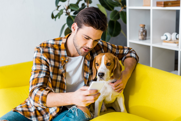 schöner Mann im karierten Hemd sitzt mit Hund auf Sofa und benutzt Smartphone - Foto, Bild