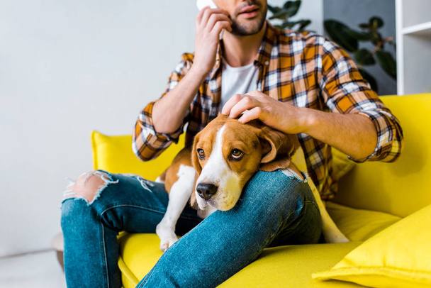 cropped view of man talking on smartphone and petting dog - Photo, Image